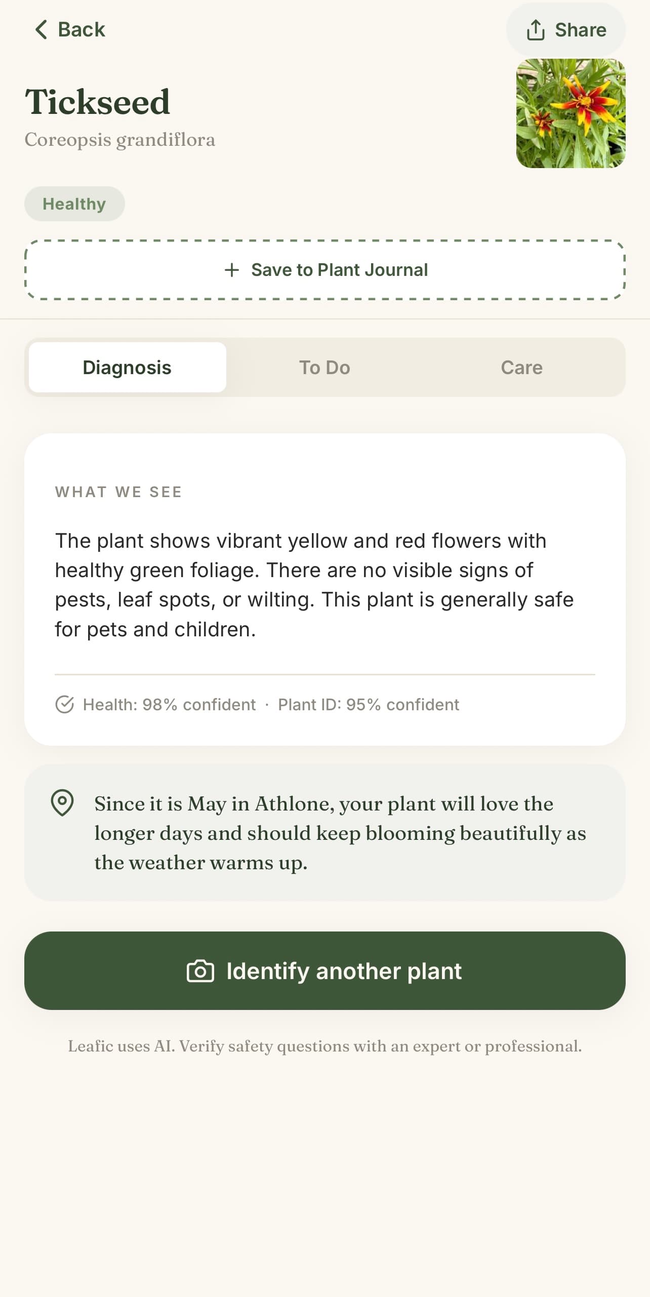 Leafic diagnosis result for a Tickseed plant