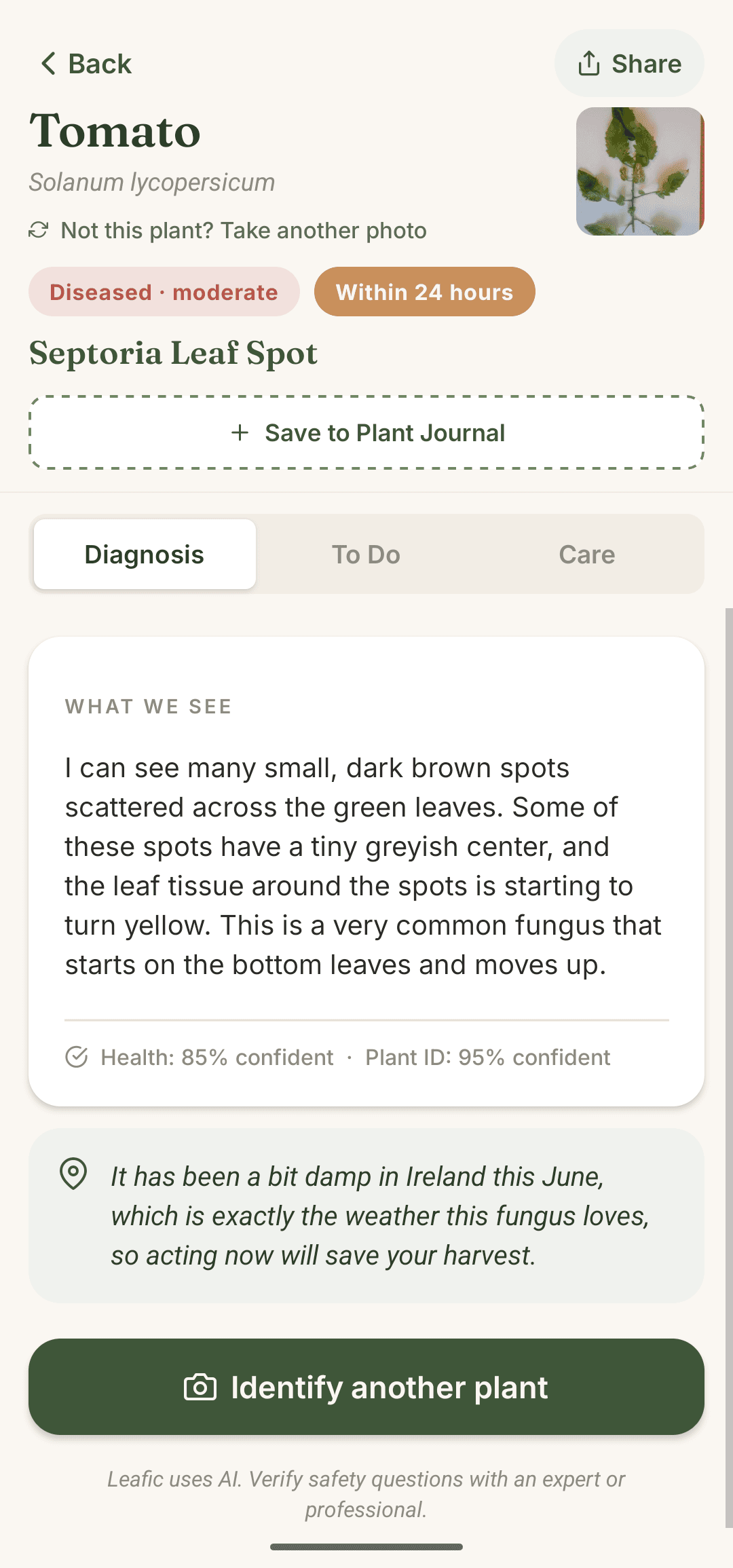 Leafic diagnosis result showing confidence scores
